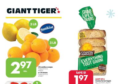 Giant Tiger (ON) Flyer December 22 to 28