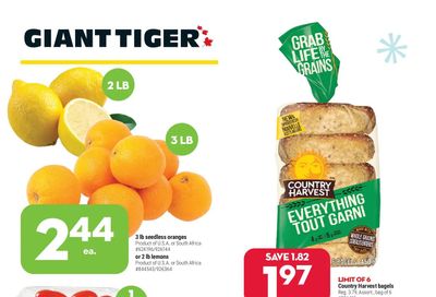 Giant Tiger (Atlantic) Flyer December 22 to 28