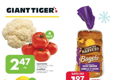 Giant Tiger (West) Flyer December 22 to 28