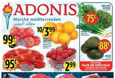 Marche Adonis (QC) Flyer December 30 to January 5