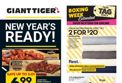 Giant Tiger (ON) Flyer December 29 to January 4