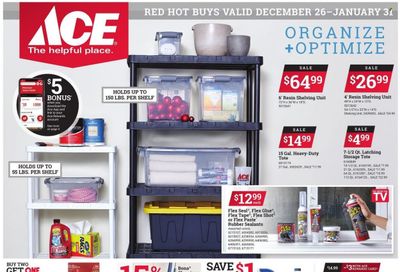 ACE Hardware Weekly Ad Flyer December 29 to January 5