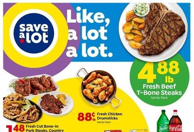 Save a Lot Weekly Ad Flyer December 29 to January 5