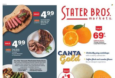 Stater Bros. (CA) Weekly Ad Flyer January 5 to January 12