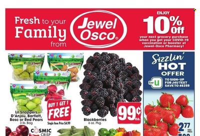 Jewel Osco (IL) Weekly Ad Flyer January 5 to January 12