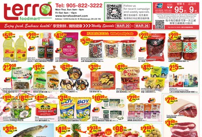 Terra Foodmart Flyer March 20 to 26