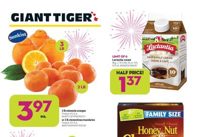 Giant Tiger (ON) Flyer January 12 to 18