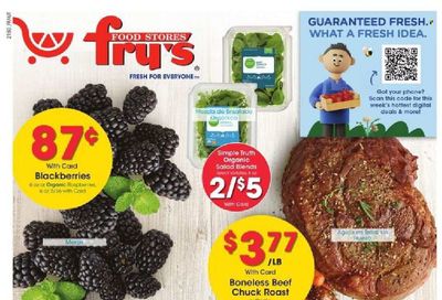 Fry’s (AZ) Weekly Ad Flyer January 12 to January 19