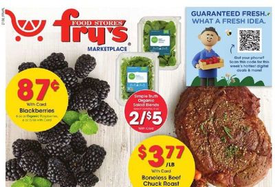 Fry’s (AZ) Weekly Ad Flyer January 12 to January 19