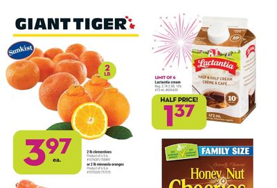 Giant Tiger (West) Flyer January 12 to 18
