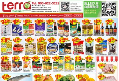 Terra Foodmart Flyer January 14 to 20