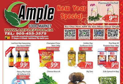 Ample Food Market (Brampton) Flyer January 14 to 20