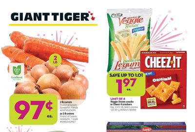 Giant Tiger (ON) Flyer January 19 to 25