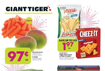 Giant Tiger (West) Flyer January 19 to 25