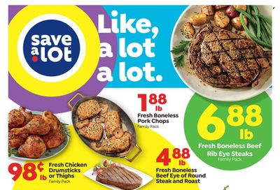 Save a Lot Weekly Ad Flyer January 19 to January 26