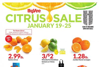 Hy-Vee (IA, IL, MN, MO, SD) Weekly Ad Flyer January 19 to January 26