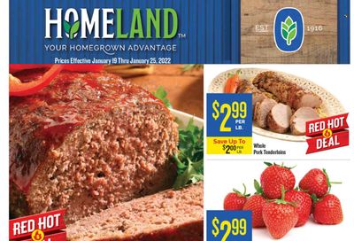 Homeland (OK, TX) Weekly Ad Flyer January 19 to January 26