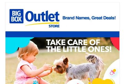Big Box Outlet Store Baby and Pets Sale Flyer January 20 to 25