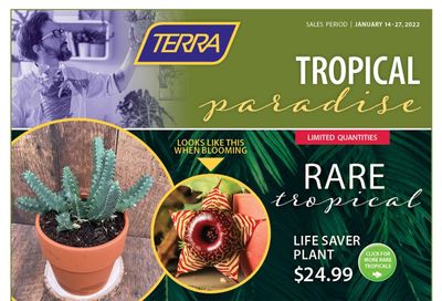 Terra Greenhouses Flyer January 14 to 27