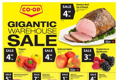 Co-op (West) Food Store Flyer January 27 to February 2