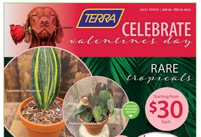 Terra Greenhouses Flyer January 28 to February 10