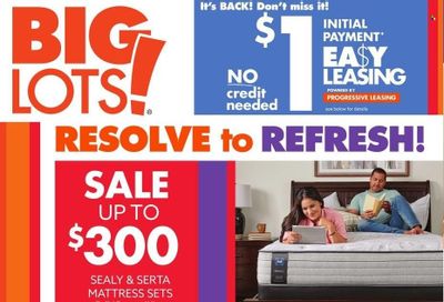Big Lots Weekly Ad Flyer January 29 to February 5