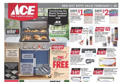 ACE Hardware Weekly Ad Flyer February 1 to February 8