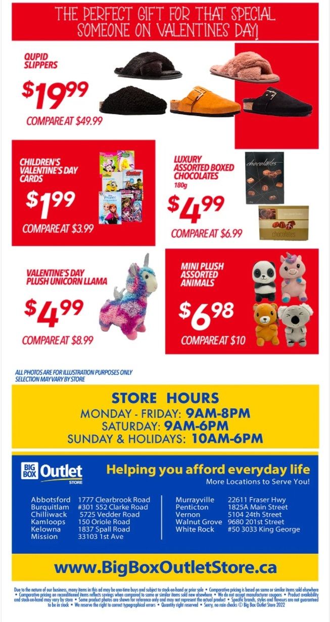 Big Box Outlet Store Flyer February 2 to 8