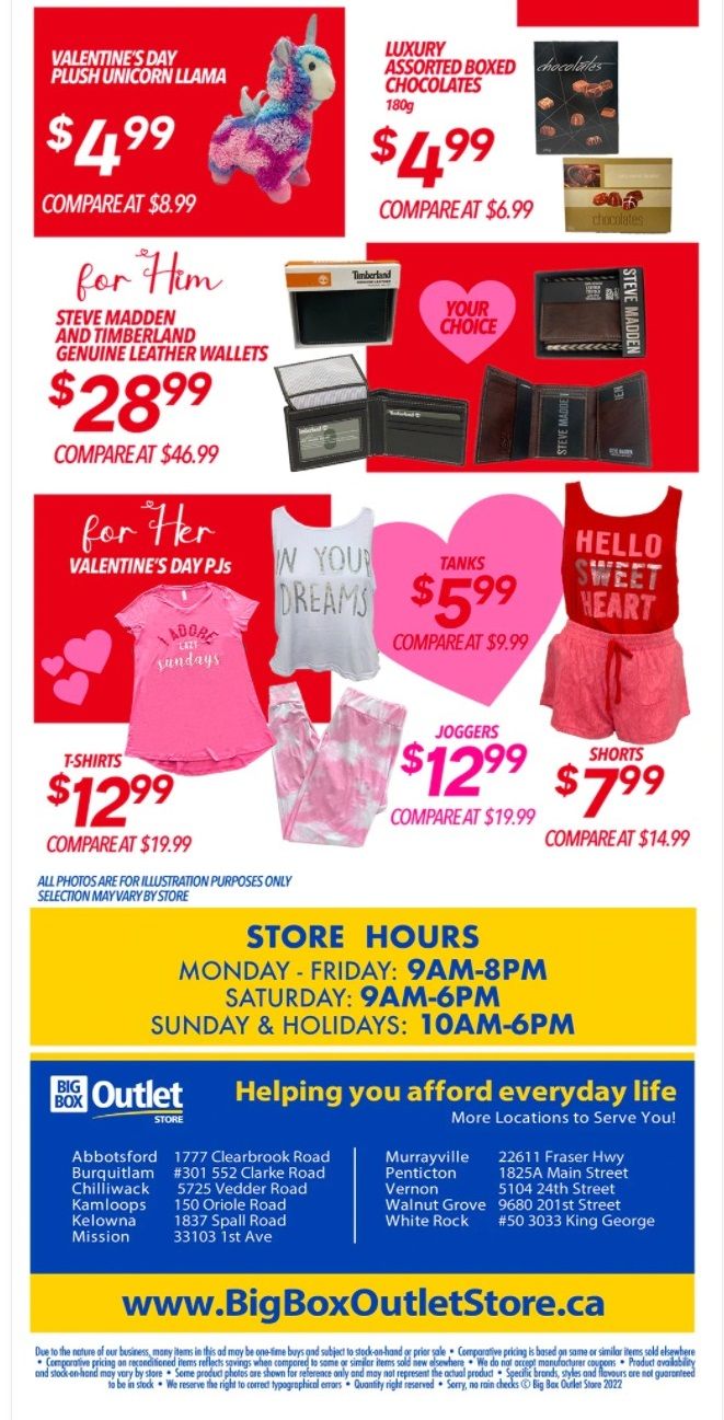 Big Box Outlet Store Flyer February 9 to 15
