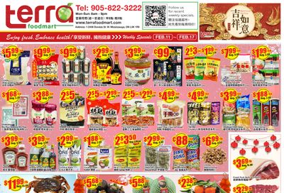 Terra Foodmart Flyer February 11 to 17
