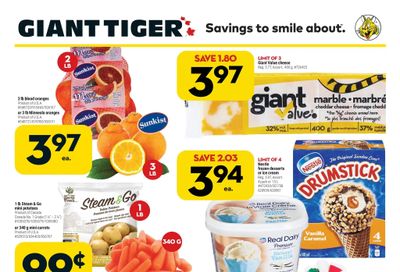 Giant Tiger (Atlantic) Flyer February 16 to 22