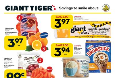 Giant Tiger (West) Flyer February 16 to 22