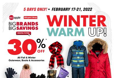 The Bargain Shop & Red Apple Stores Flyer February 17 to 21