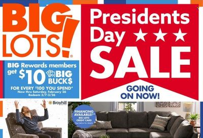 Big Lots Weekly Ad Flyer February 17 to February 24