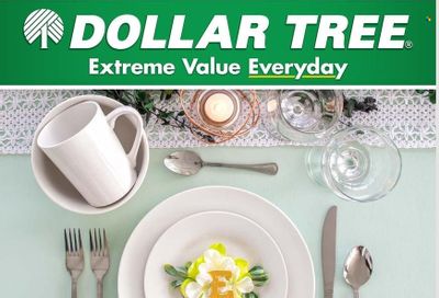 Dollar Tree Weekly Ad Flyer February 17 to February 24
