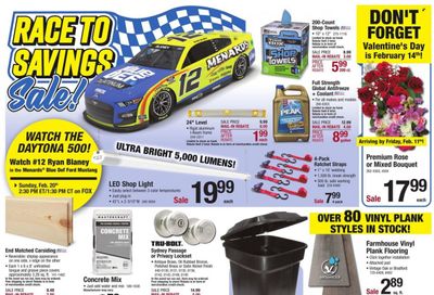 Menards Weekly Ad Flyer February 17 to February 24