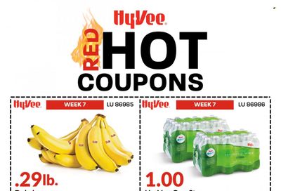 Hy-Vee (IA) Weekly Ad Flyer February 17 to February 24