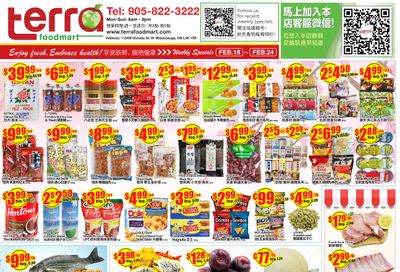 Terra Foodmart Flyer February 18 to 24