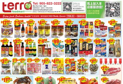 Terra Foodmart Flyer February 25 to March 3