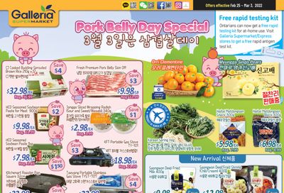 Galleria Supermarket Flyer February 25 to March 3