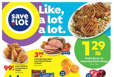 Save a Lot Weekly Ad Flyer February 25 to March 4