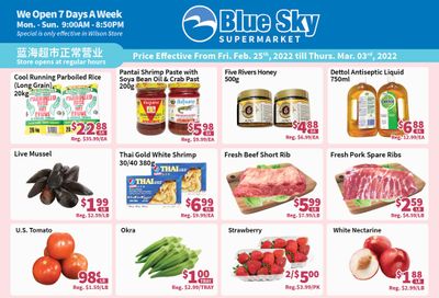 Blue Sky Supermarket (North York) Flyer February 25 to March 3
