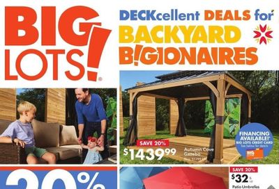 Big Lots Weekly Ad Flyer February 25 to March 4