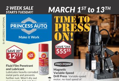 Princess Auto Flyer March 1 to 13