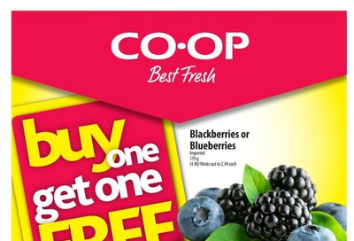 Calgary Co-op Flyer March 26 to April 1