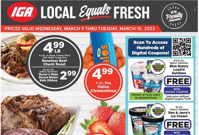 IGA Weekly Ad Flyer March 8 to March 15