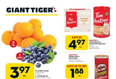 Giant Tiger (West) Flyer March 9 to 15