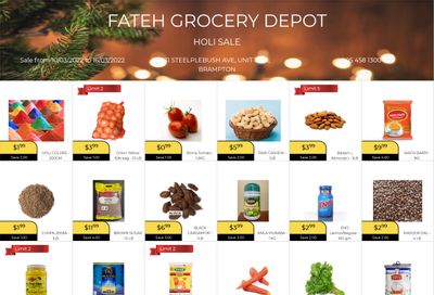 Fateh Grocery Depot Flyer March 10 to 16