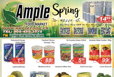 Ample Food Market (Brampton) Flyer March 11 to 17