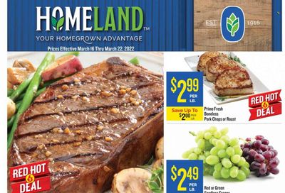 Homeland (OK, TX) Weekly Ad Flyer March 16 to March 23